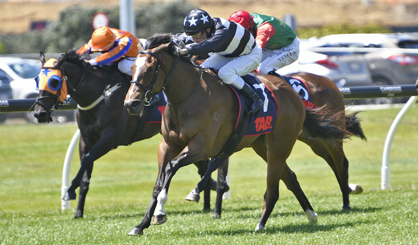 Costae lifts stable spirits at Ellerslie