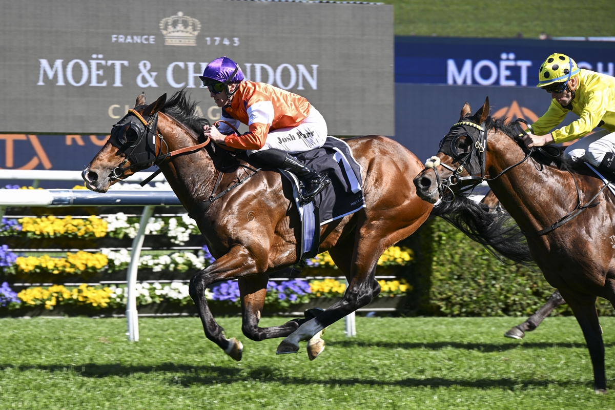 Spring Champion Stakes winner continues fine run for Cambridge Stud