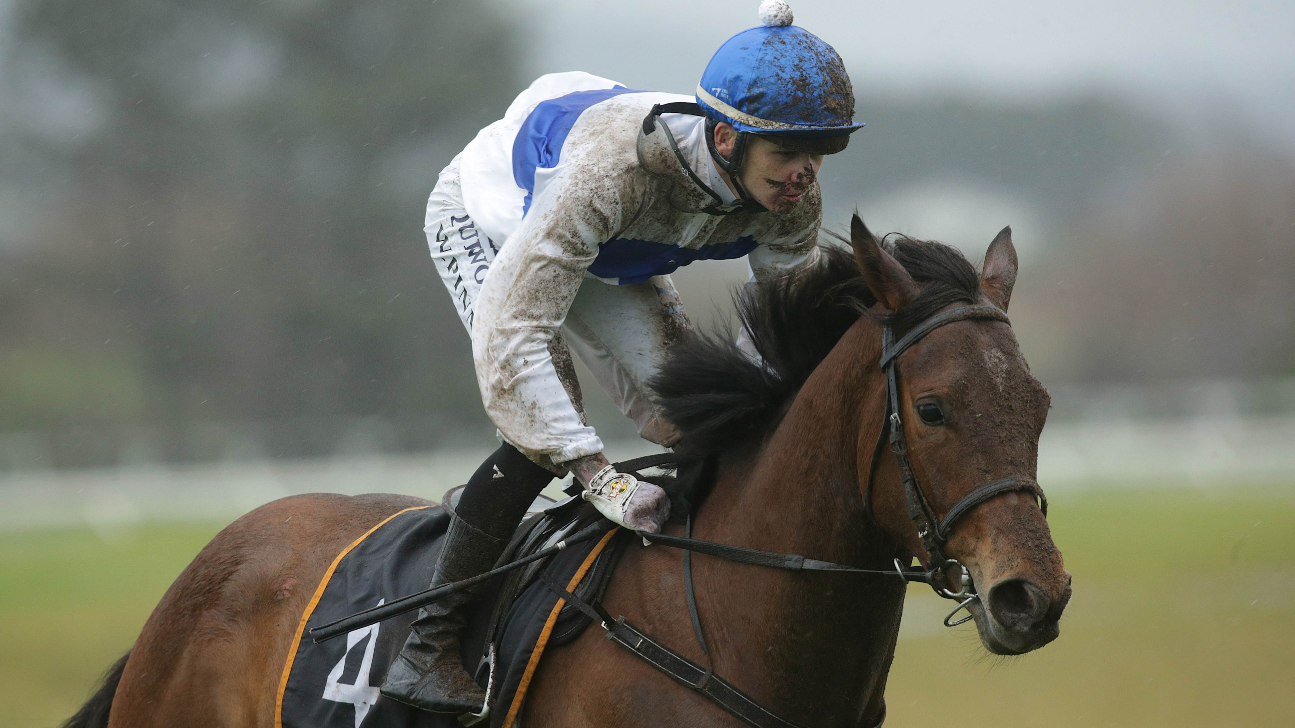 Ritchie keeps options open for Tajana’s resumption