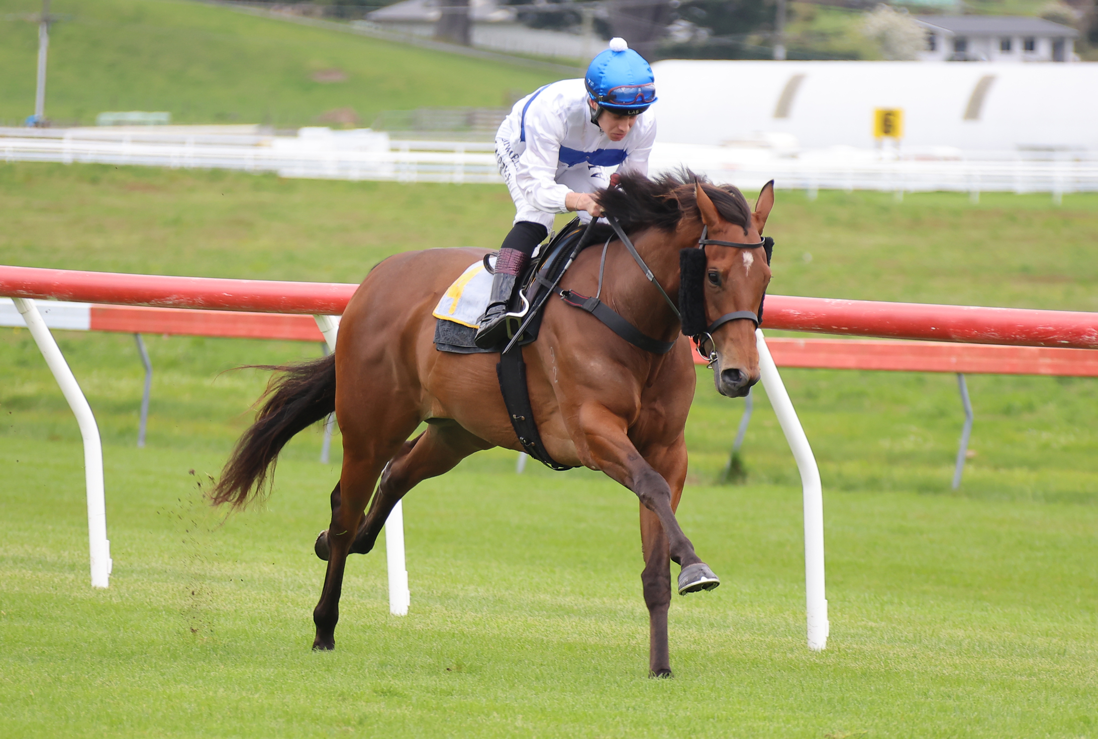 Tajana on target for Soliloquy after Taupō gallop