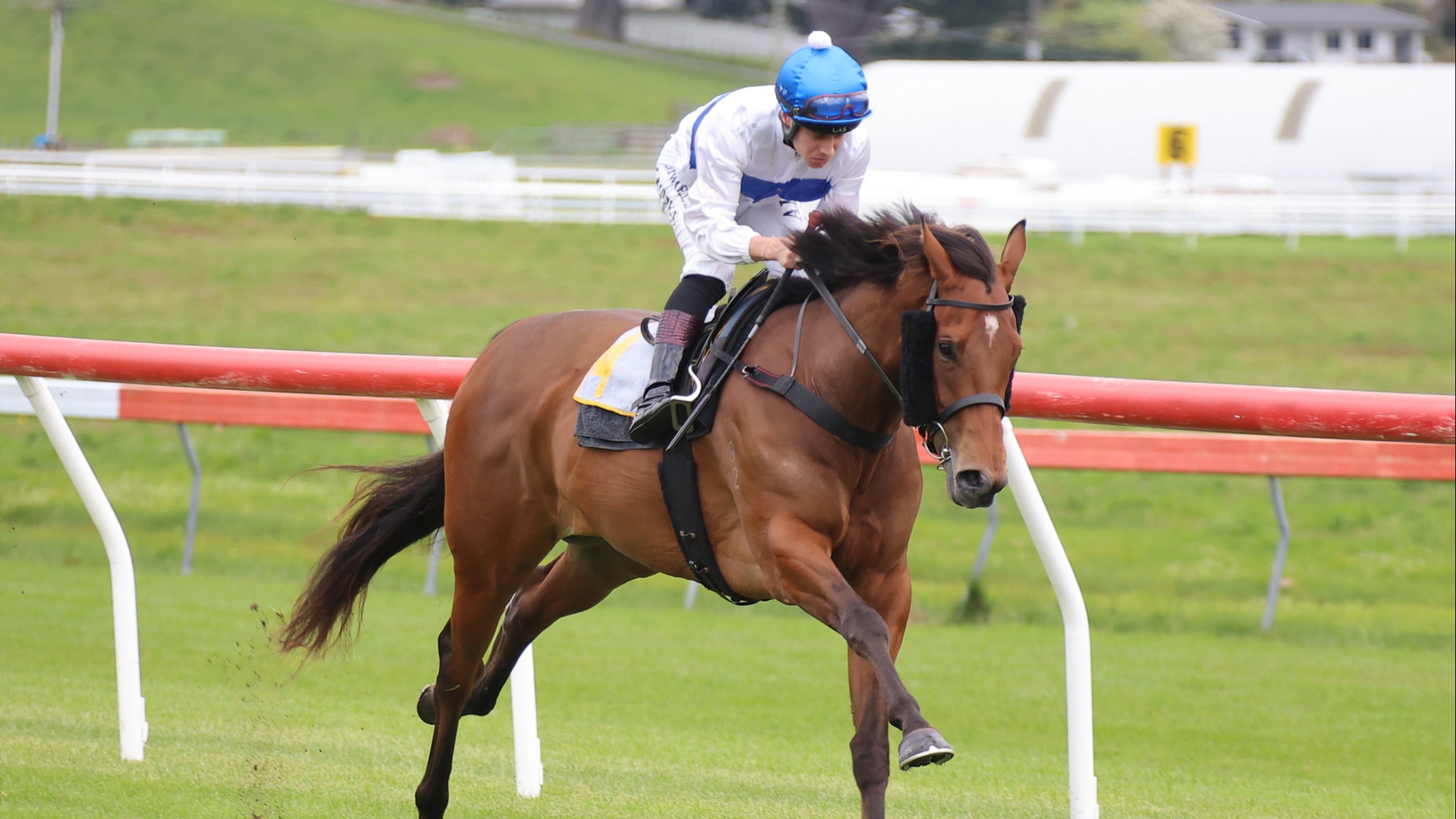 Tajana takes on the boys in 2000 Guineas