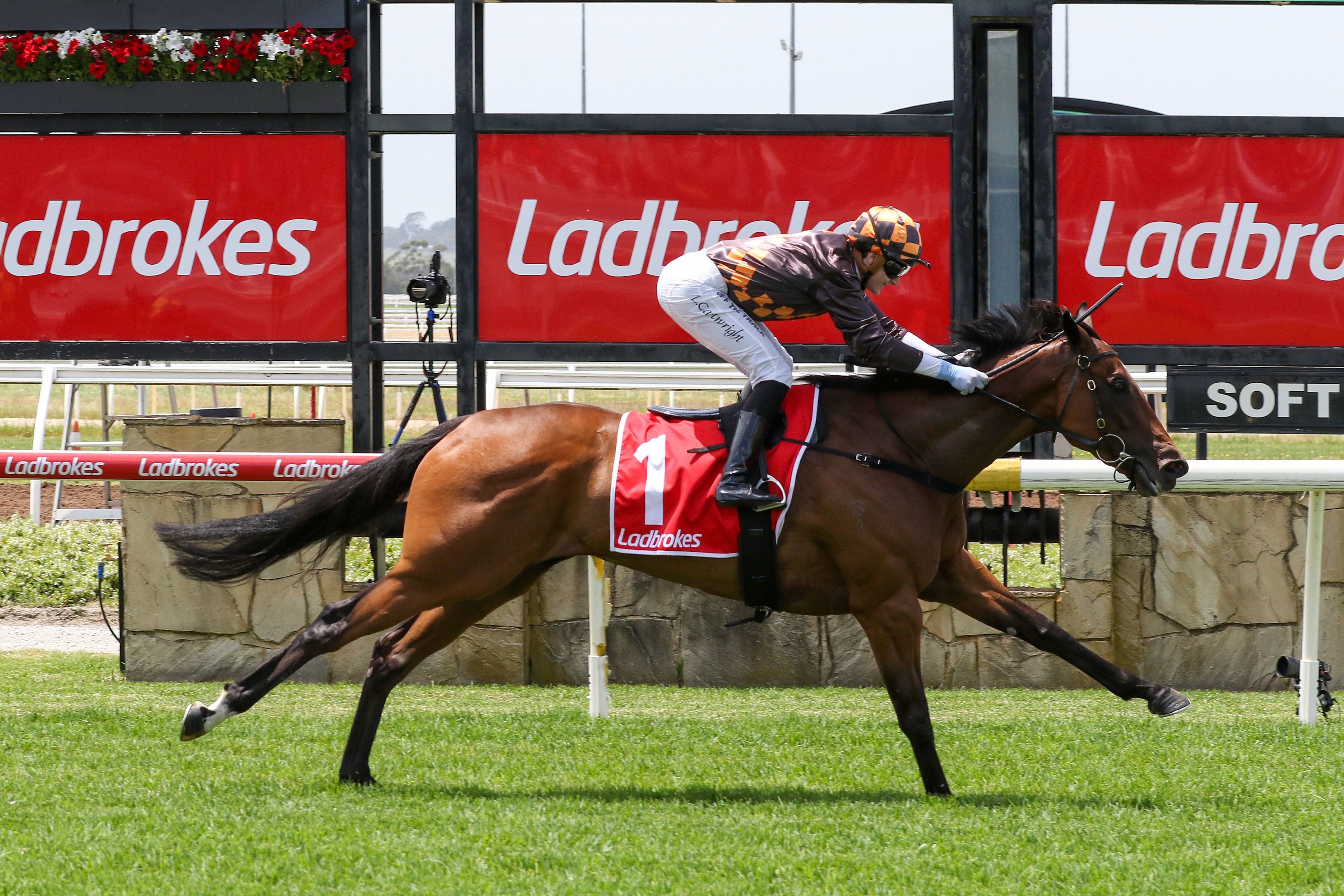 Bagot on radar for Shockletz