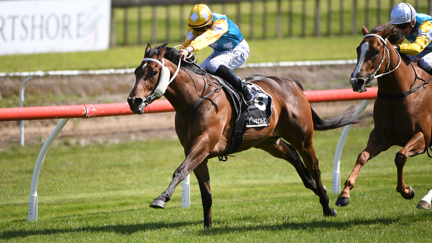 Swiss Prince heads Sarten quinella for Marsh