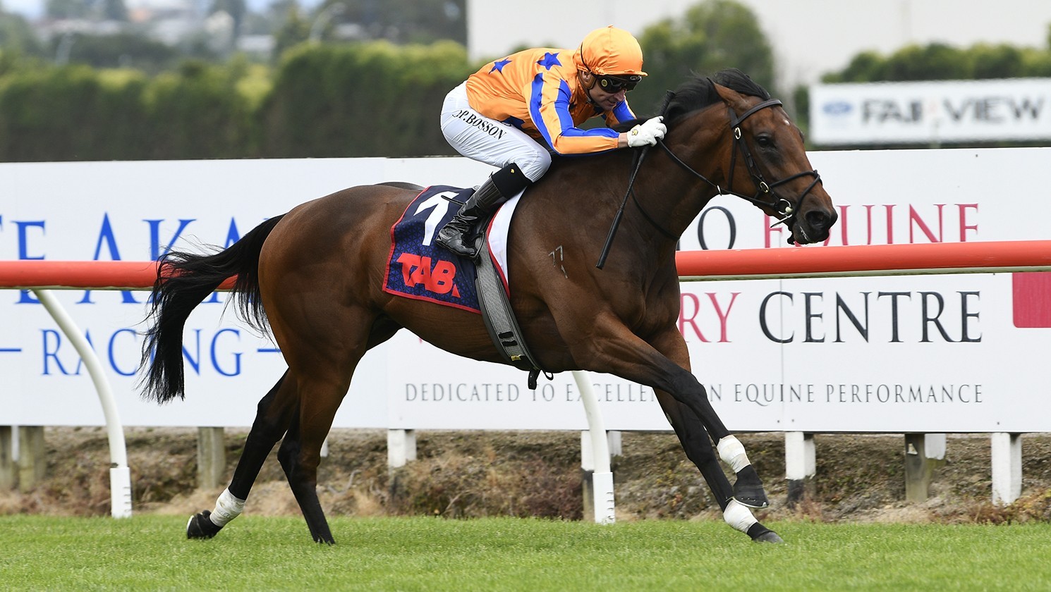 Guineas provides valuable Ellerslie experience for Rose