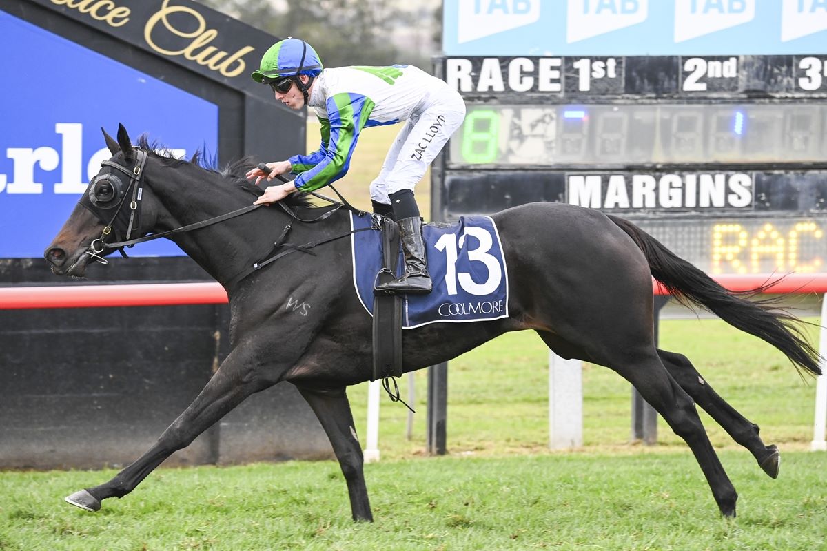 Time to shine for Cindy in Breeders’ Stakes