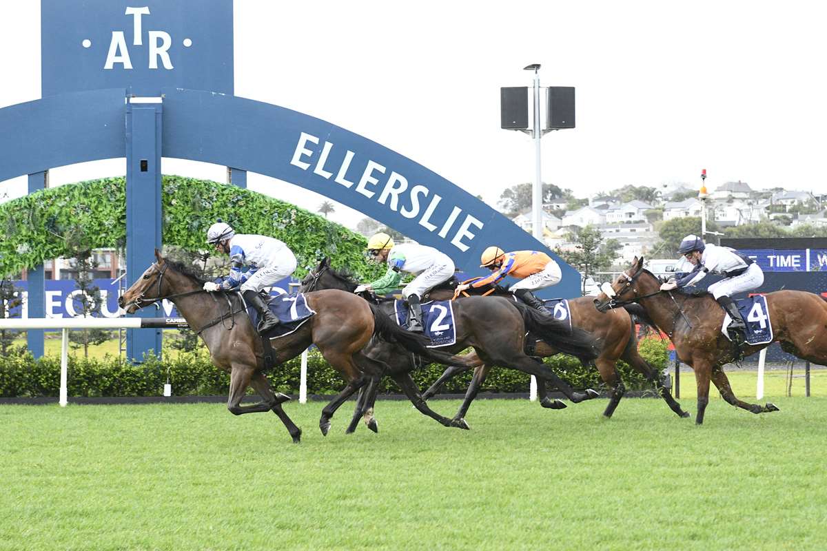 Stephen Hunt runs the numbers on the Sunline Vase