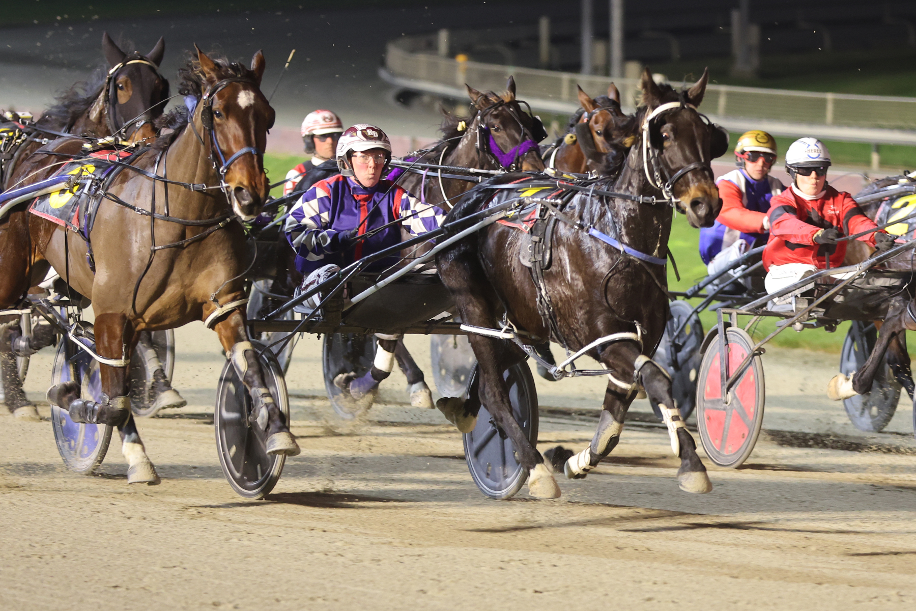 Otago mare out to pillage some Canterbury silk on Sunday