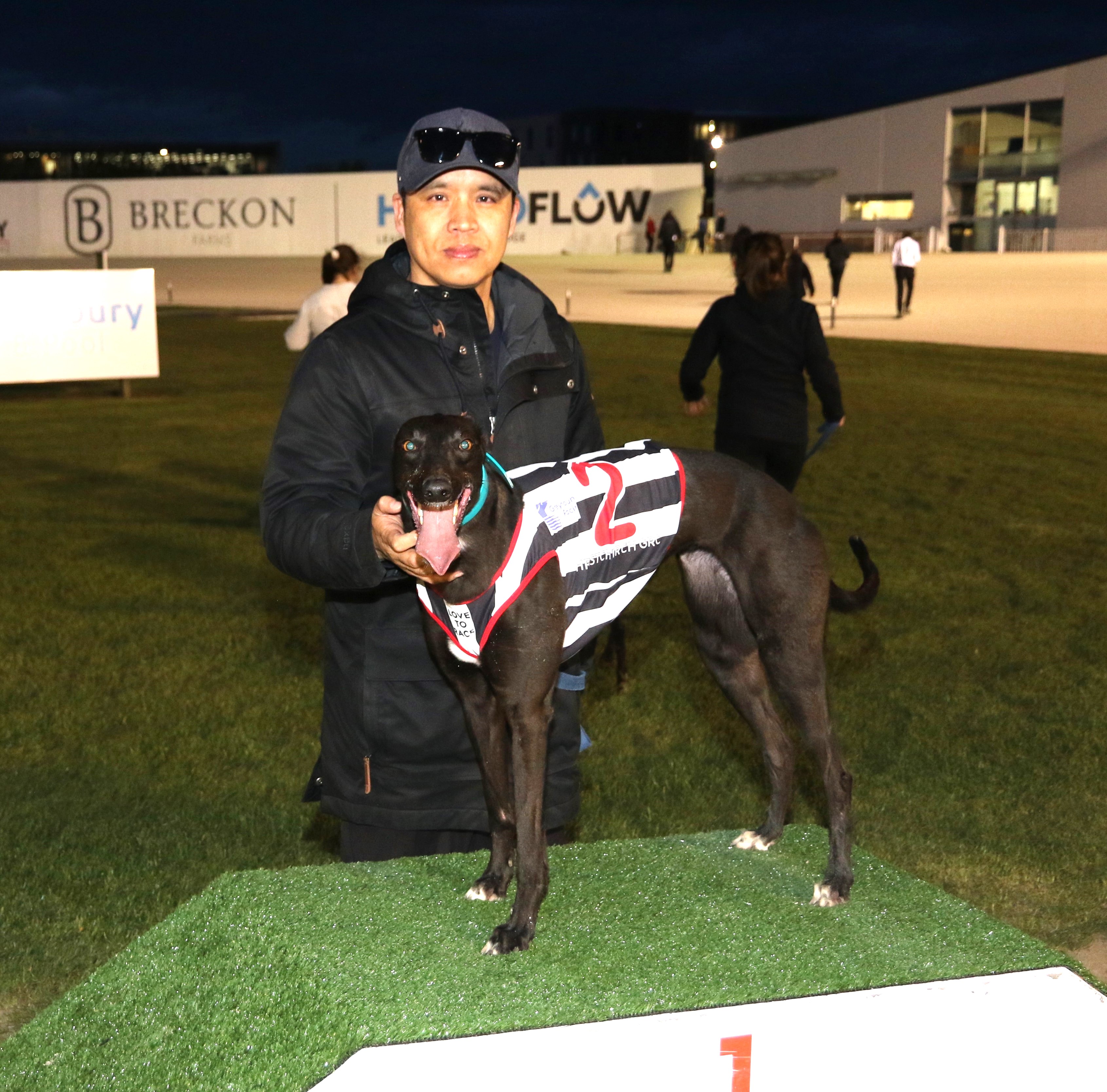Greyhound Wrap: Fahey and Cole Kennels Shine