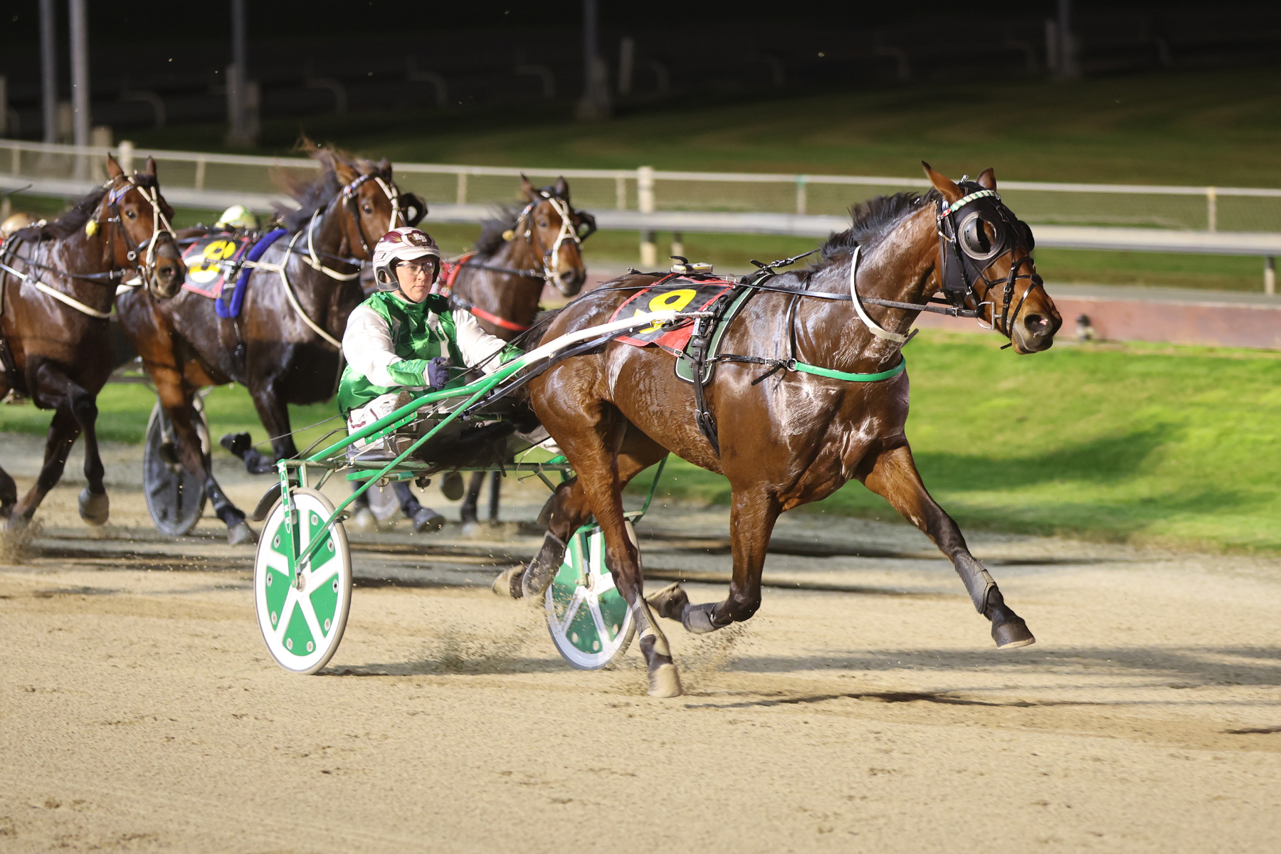 Eurostyle staying put to chase more success at home