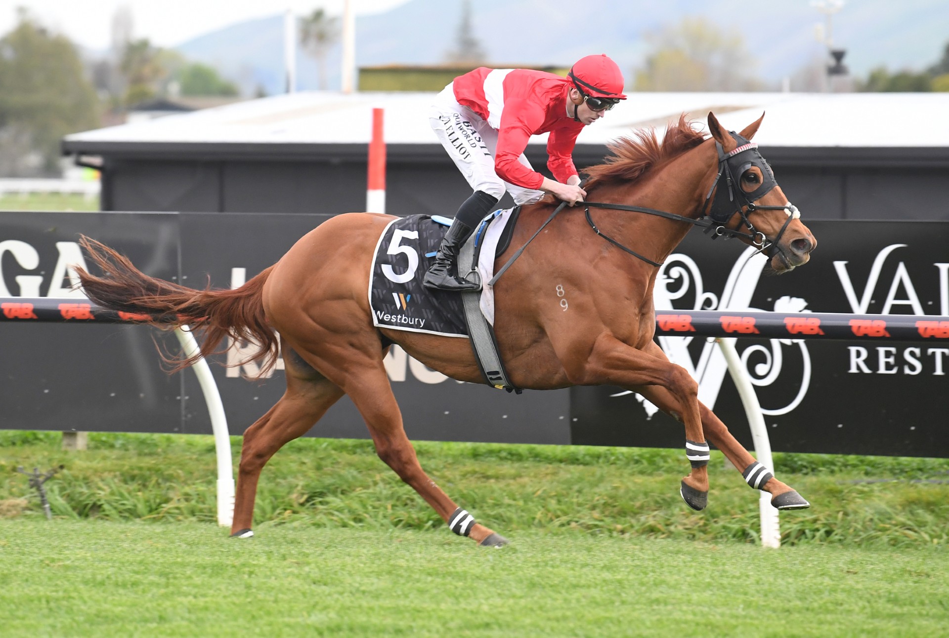 Cole hoping for his turn at a big prize