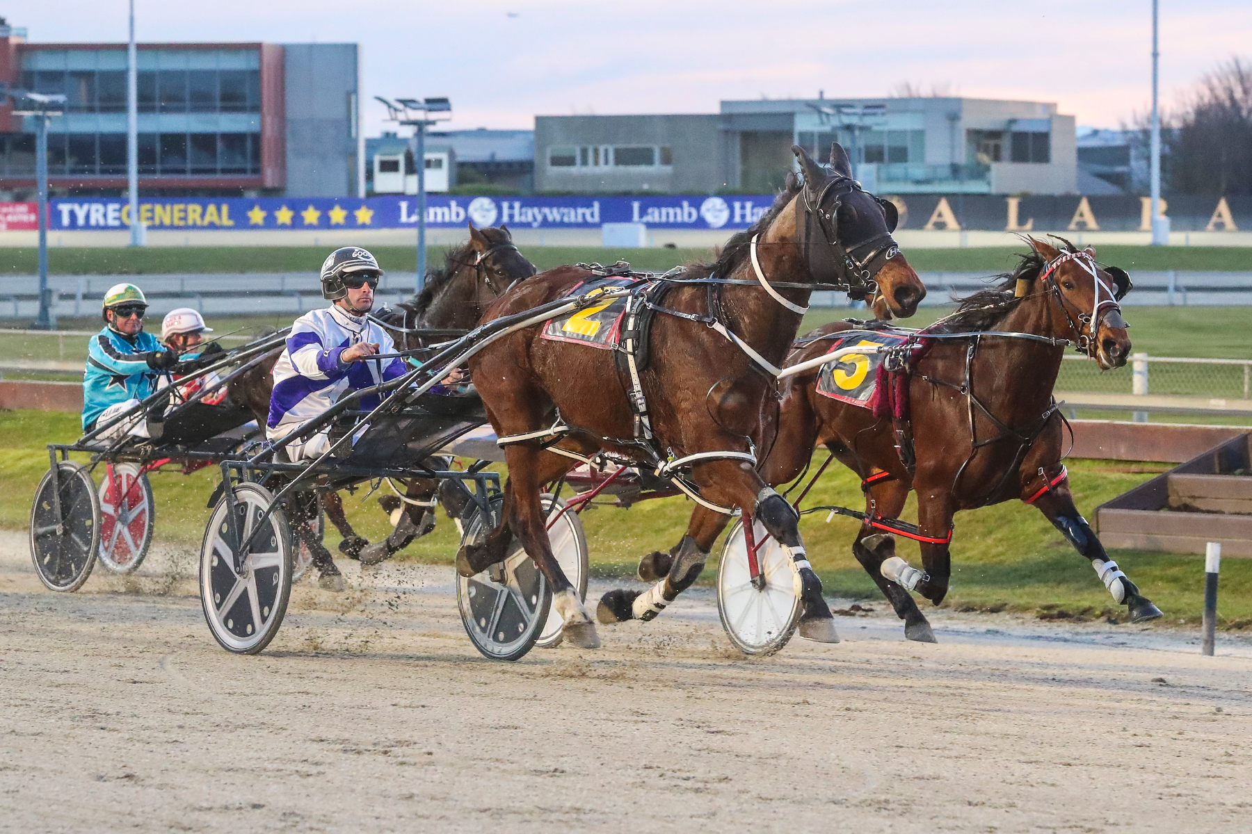 In-form pacer chasing Timaru Cup success