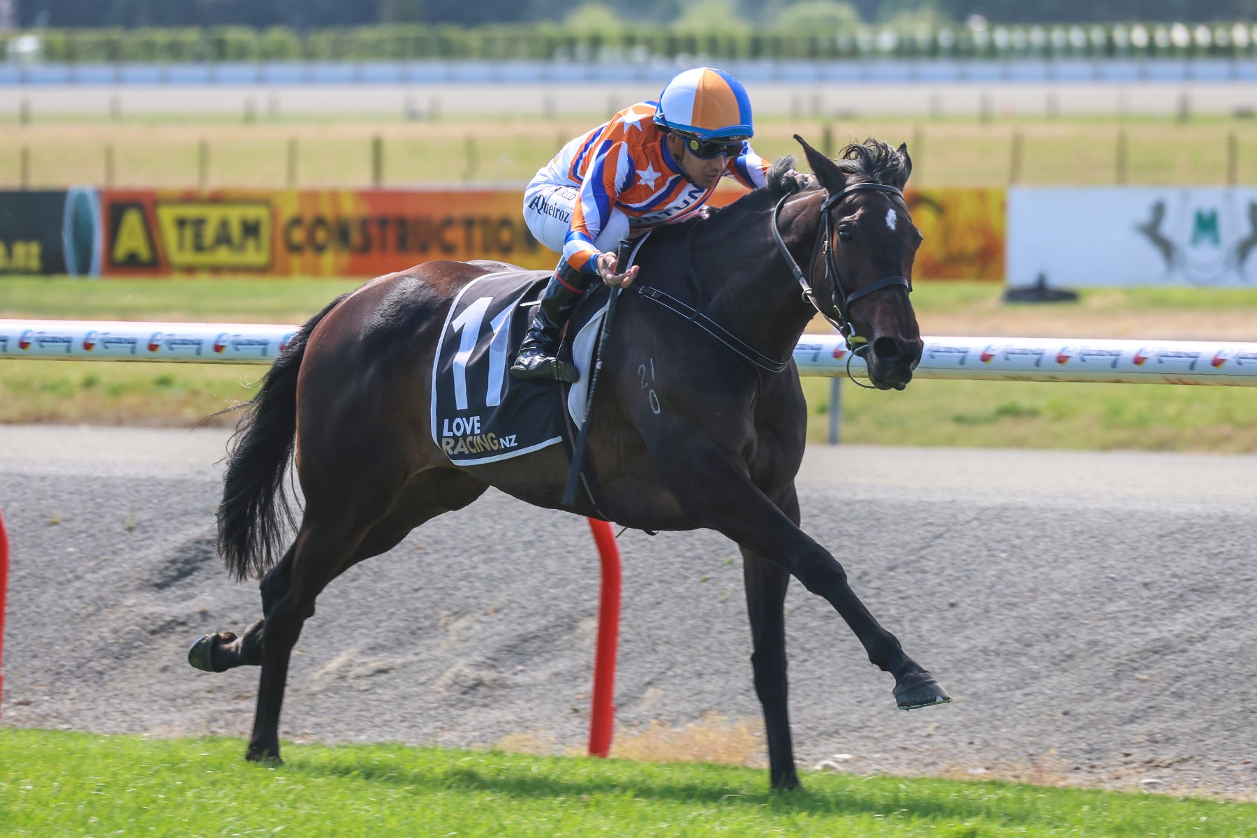 Court Of Appeal produces impressive New Zealand Cup dress rehearsal