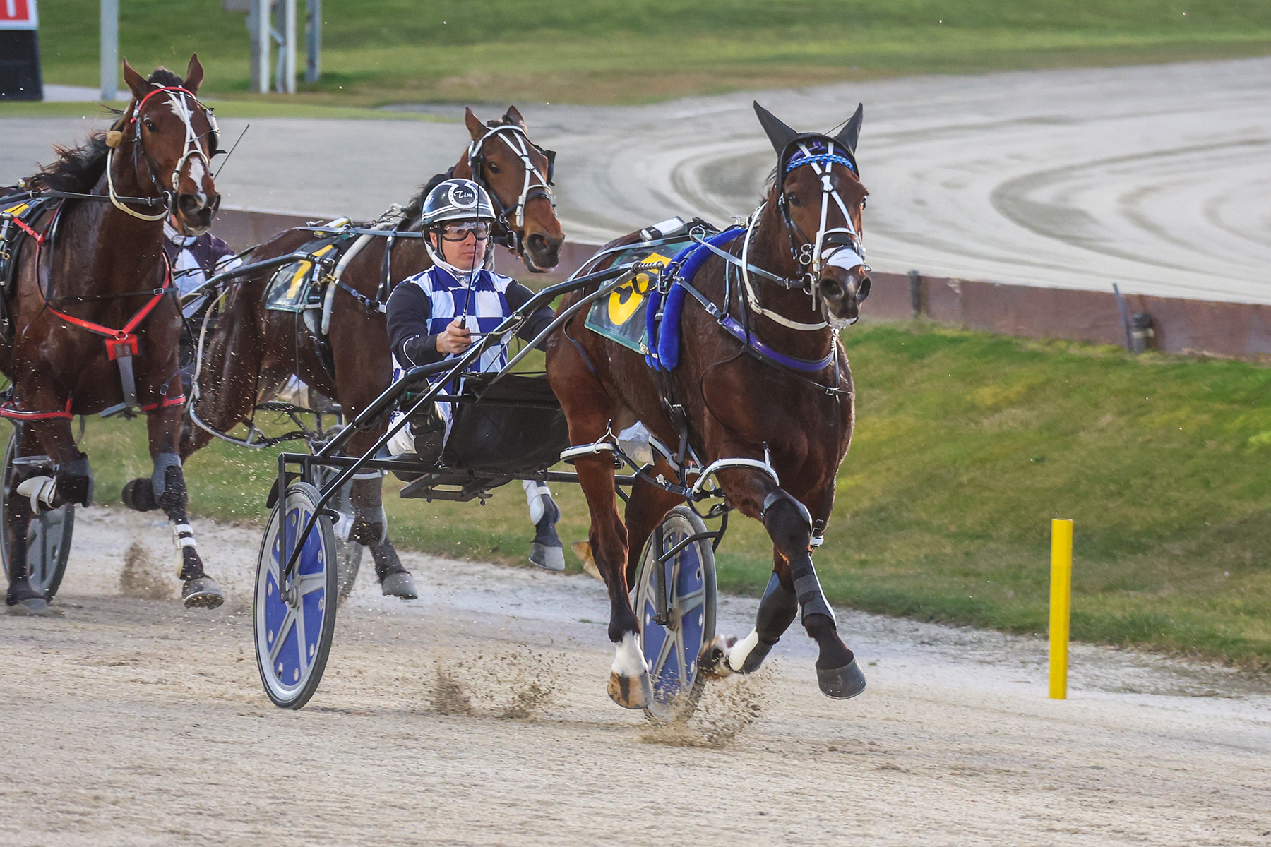 Tact Teva looks to step it up again in Harness 7000