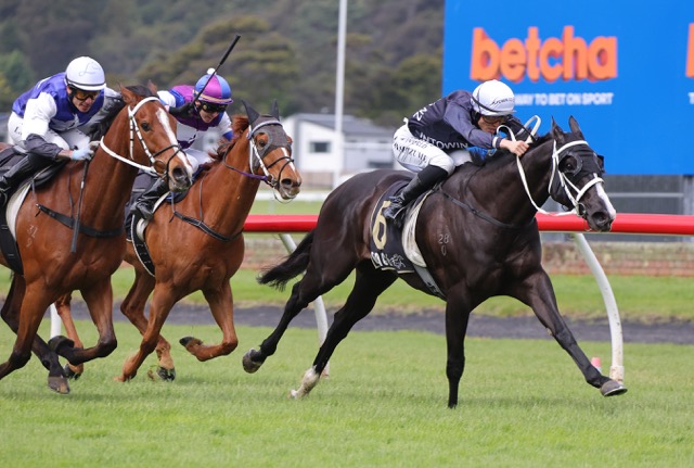 Fresh Ima Brazen One defies chute record