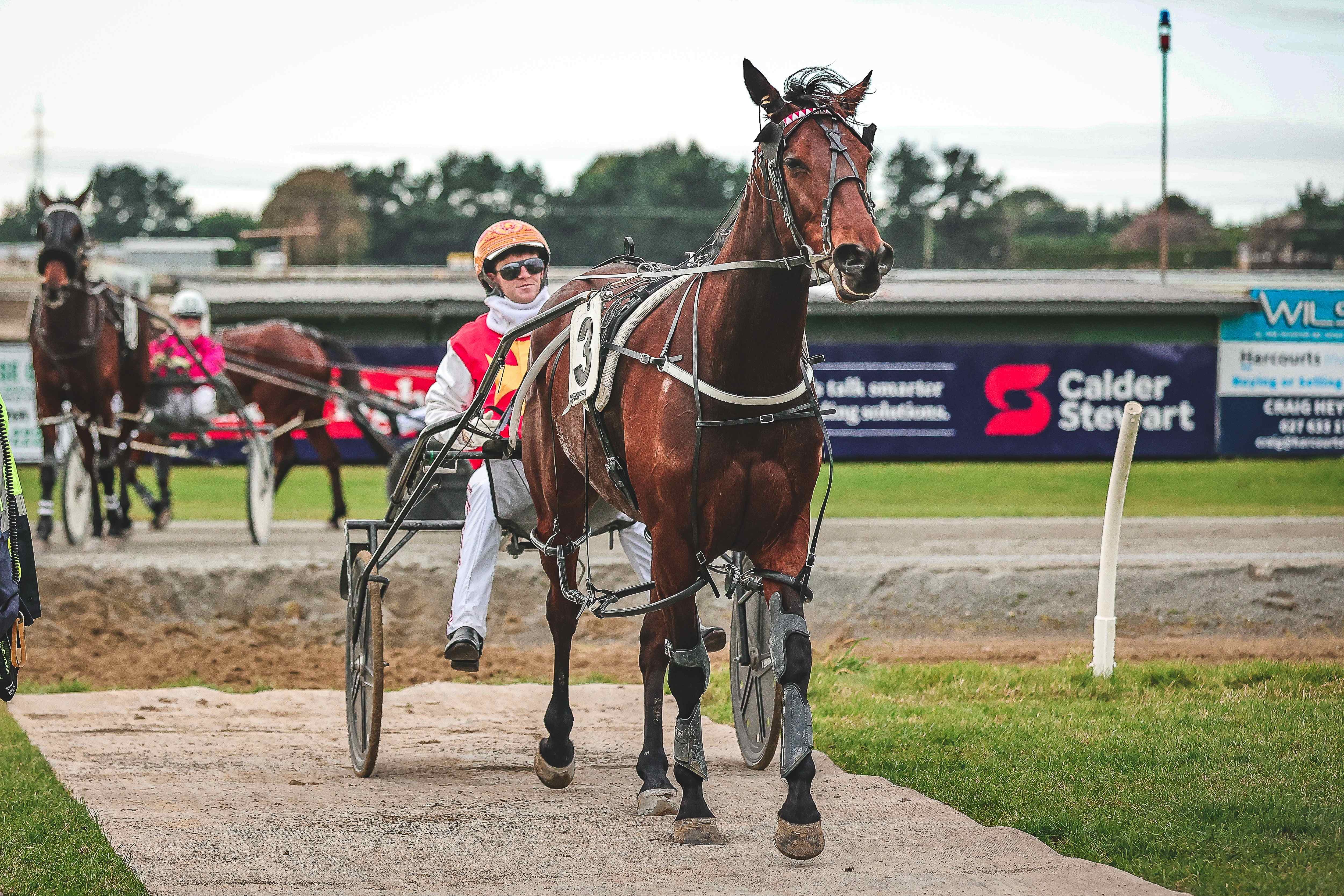 Previewing the Douglas and Douglas combination at Ascot Park