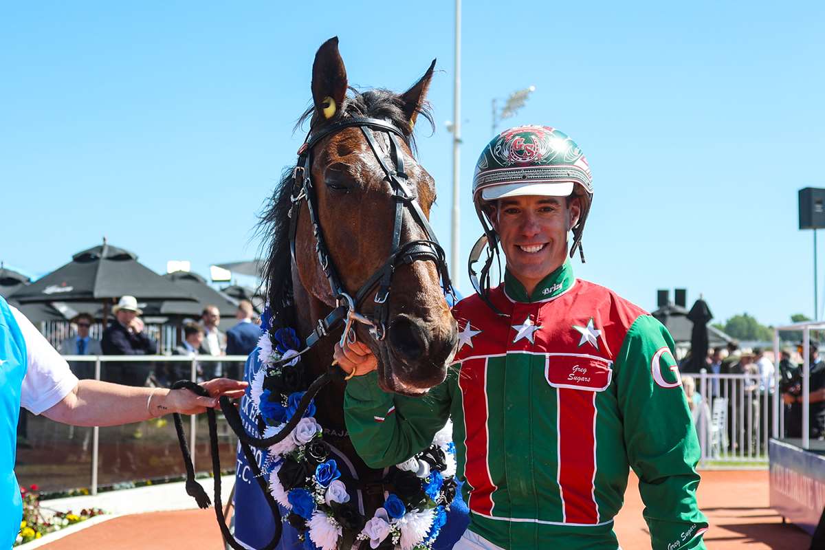 Shocking death of hero horseman of harness racing