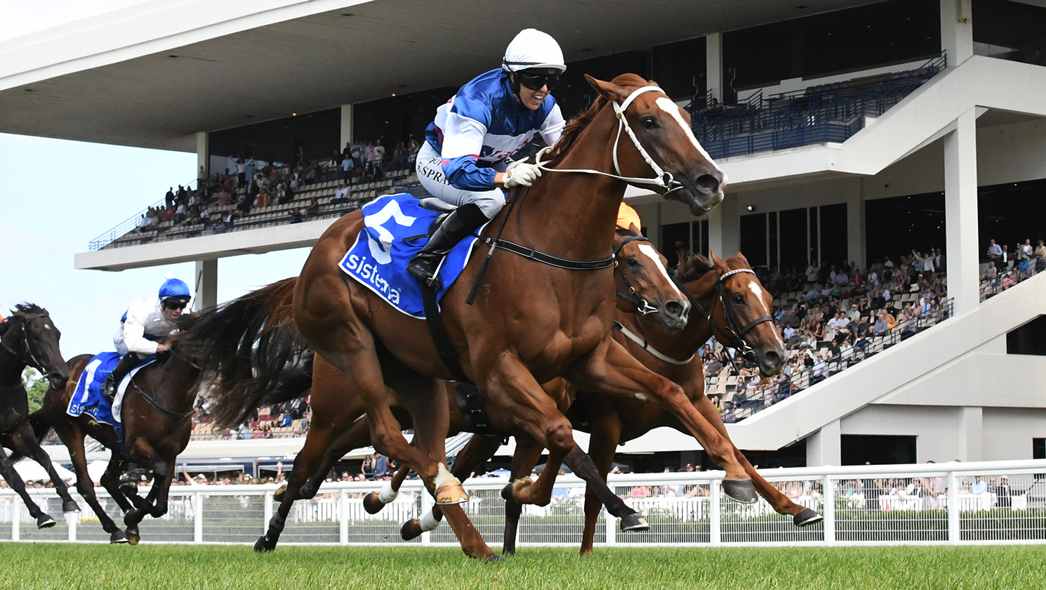 High-class filly Velocious to go to auction