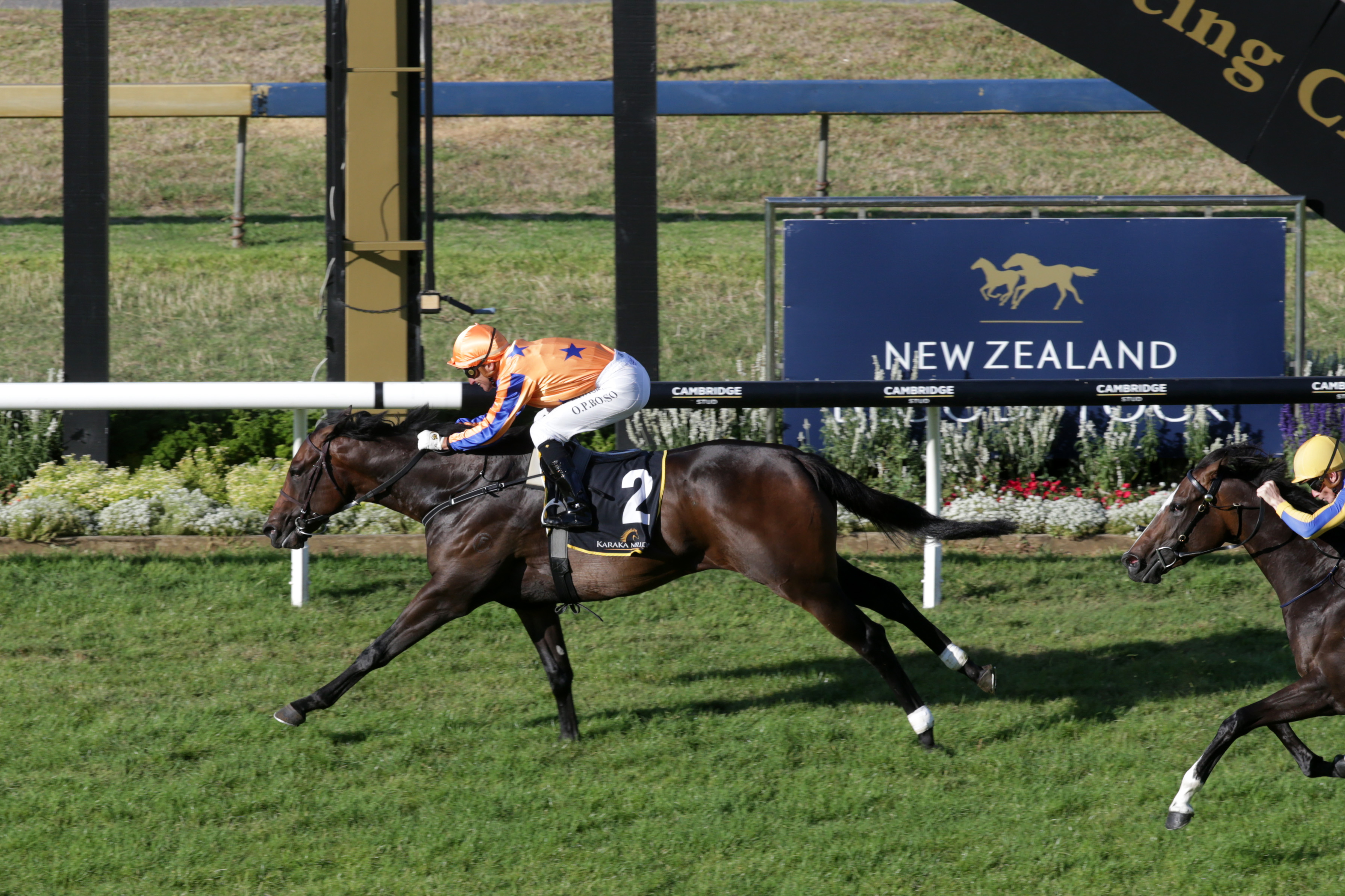 Cool Aza Beel makes flying start