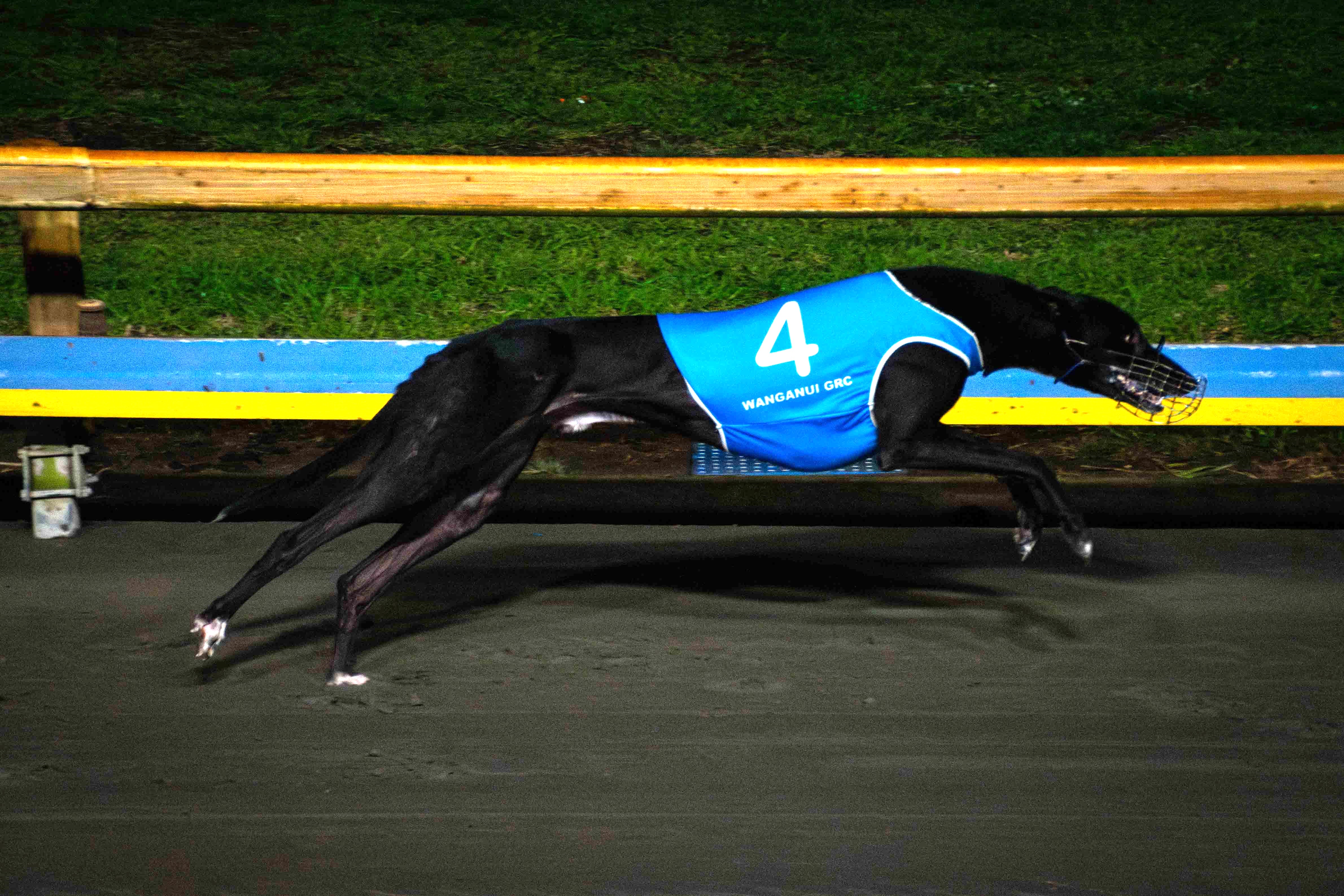 Runner by runner guide to NZ Futurity