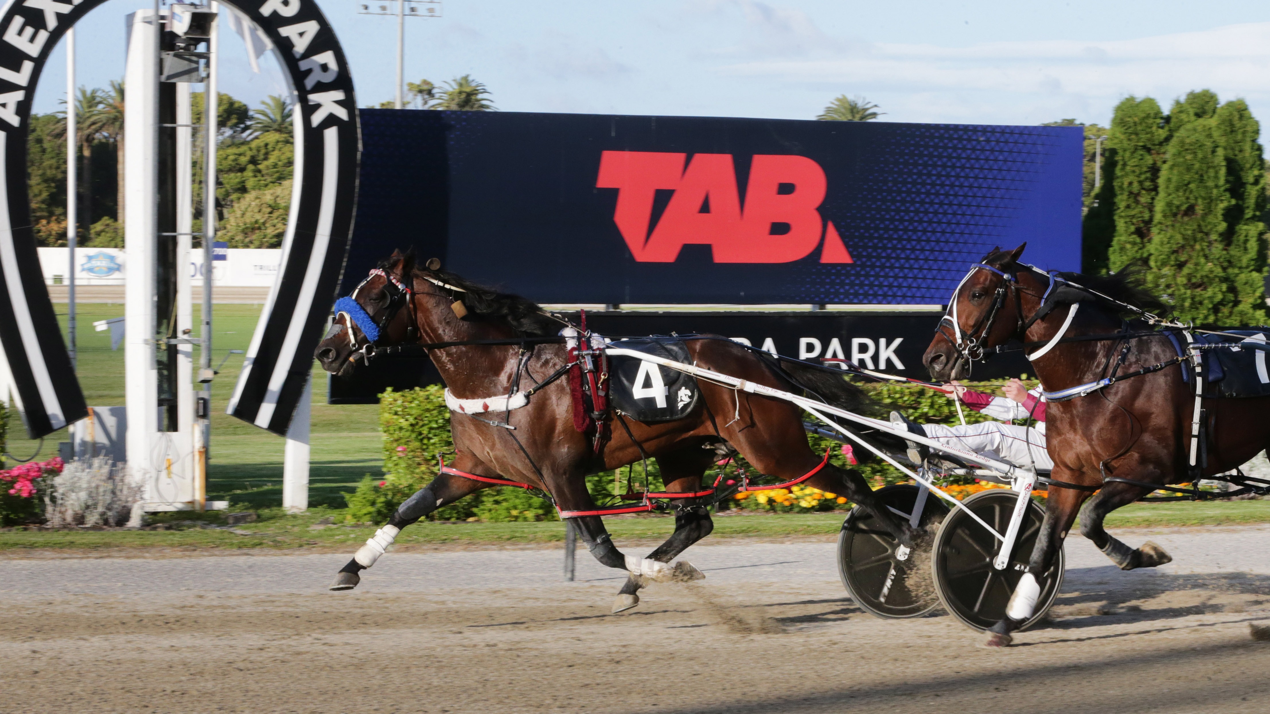 Djb Racing Brittany Graham breakdowns The Race by Sport Nation