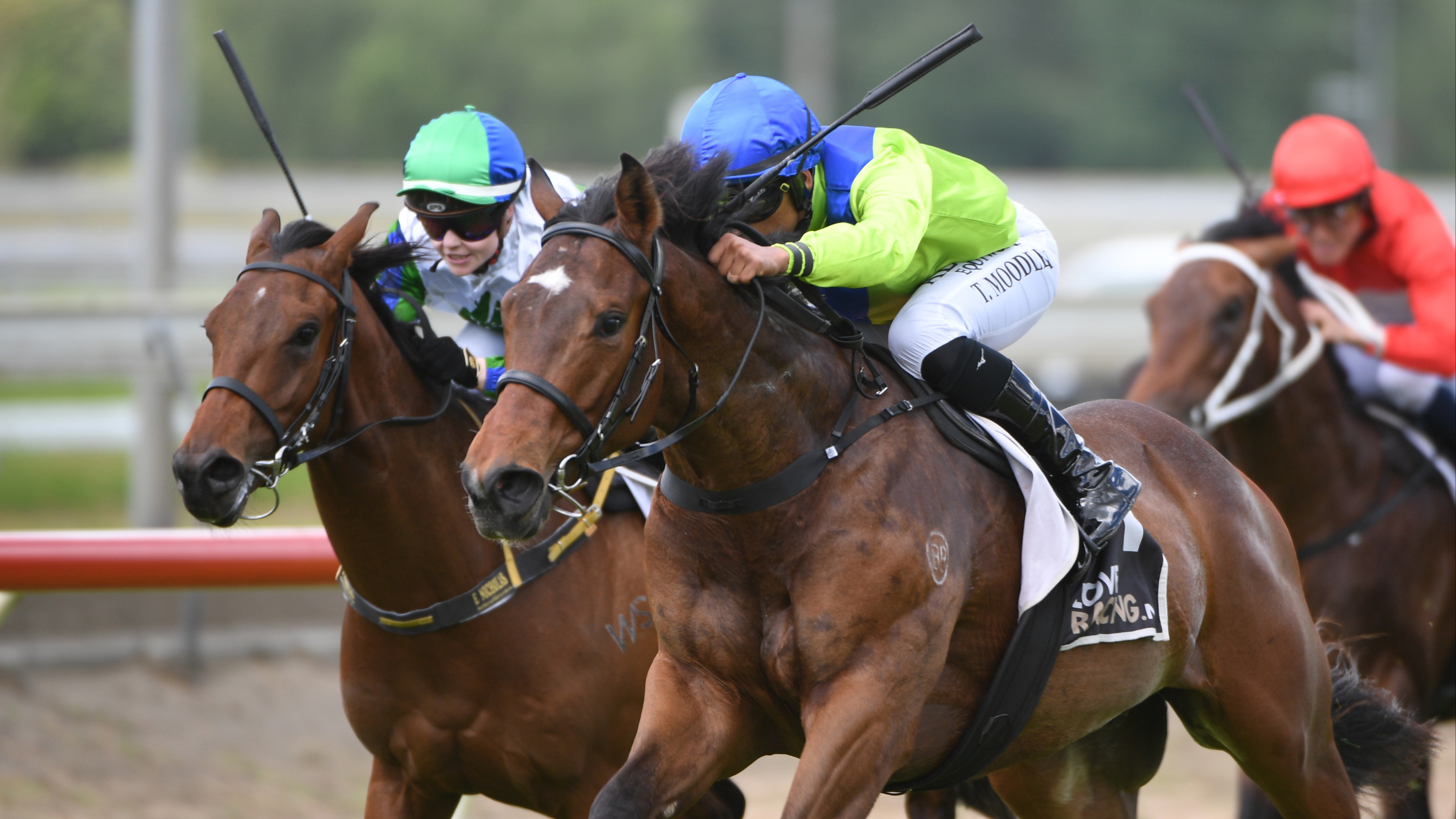 Local 2YO ready to open stakes campaign