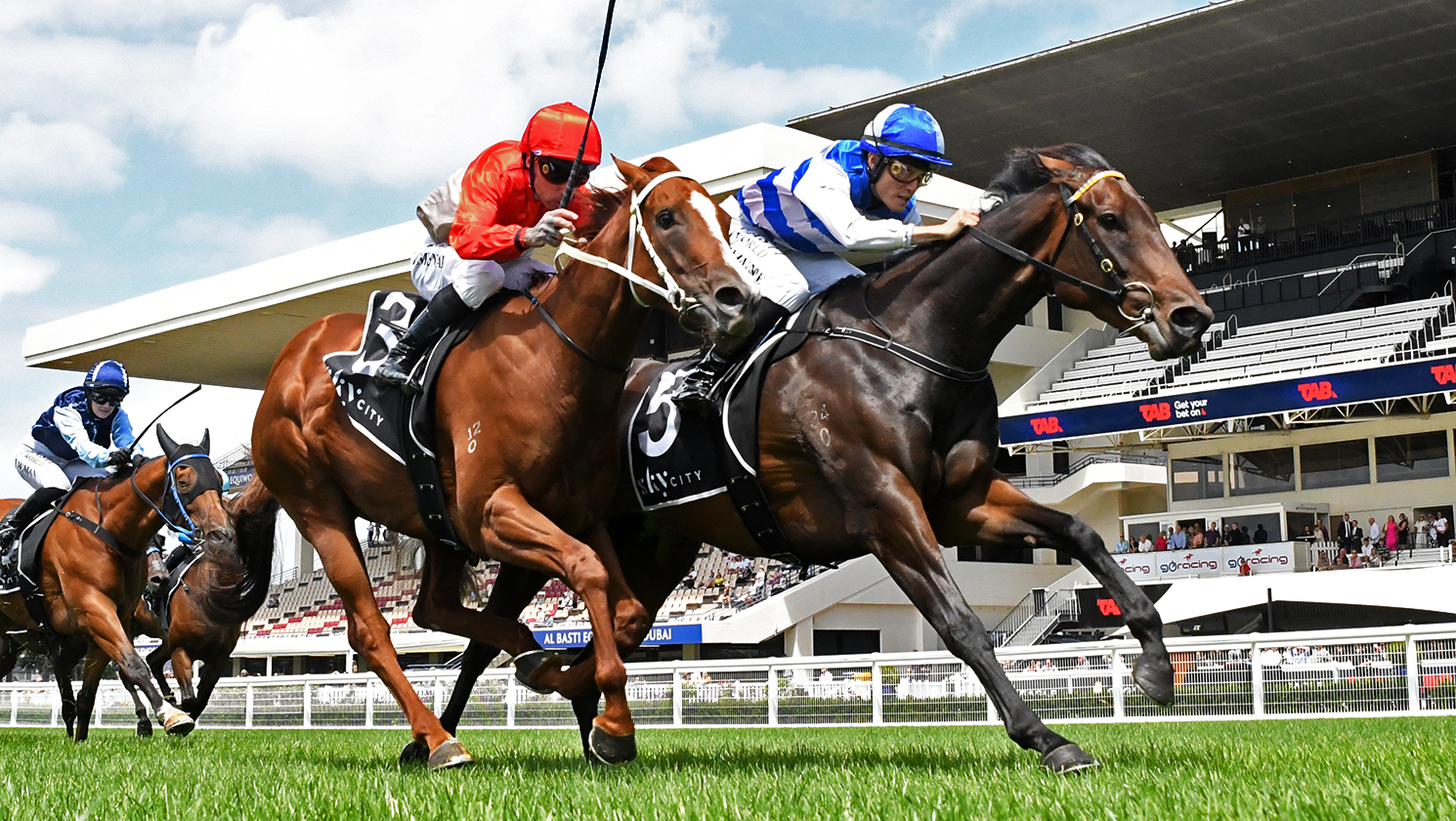 Season looking good for quality stablemates