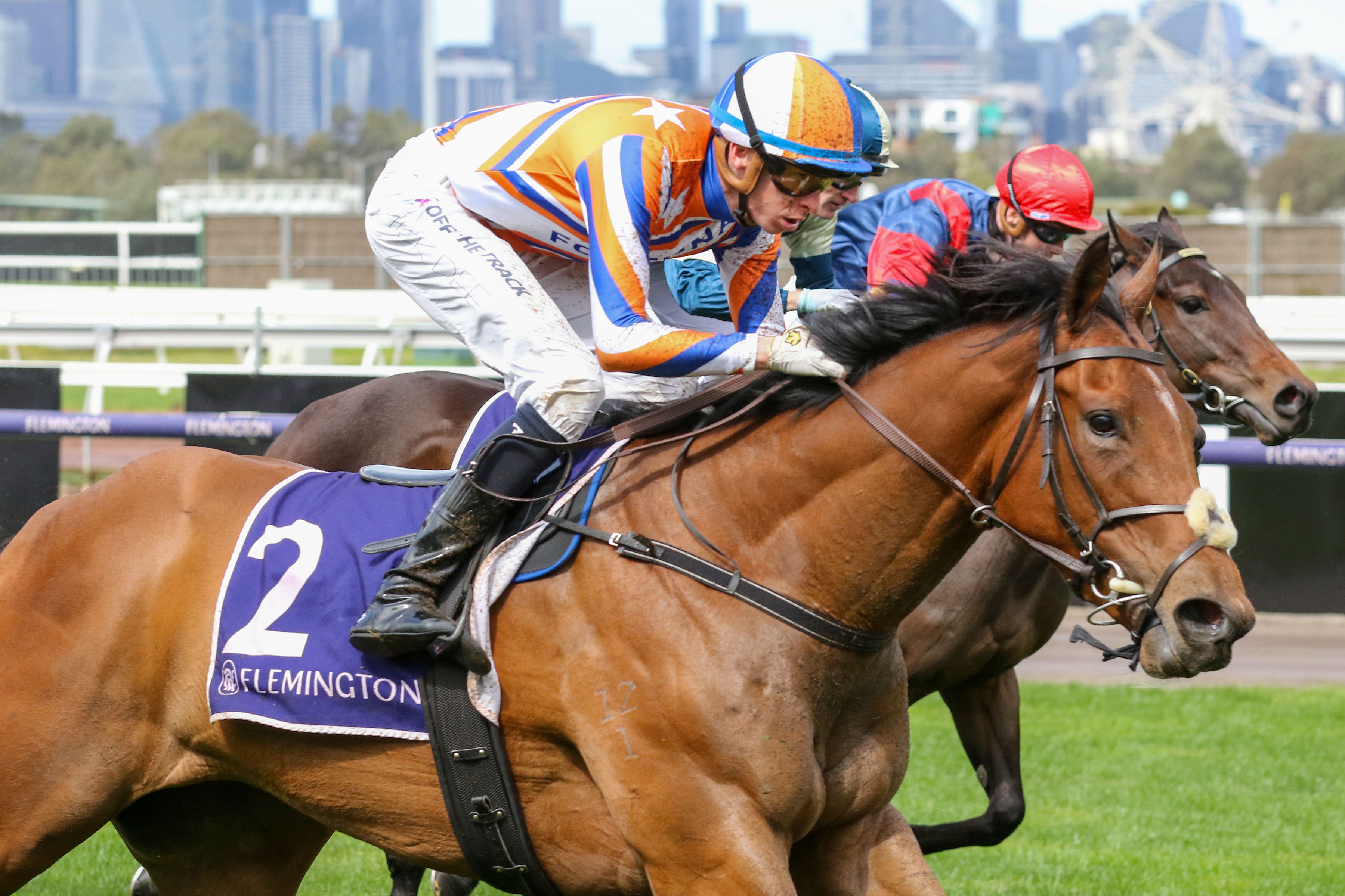 Watch Racing Live & On Demand | Trackside NZ