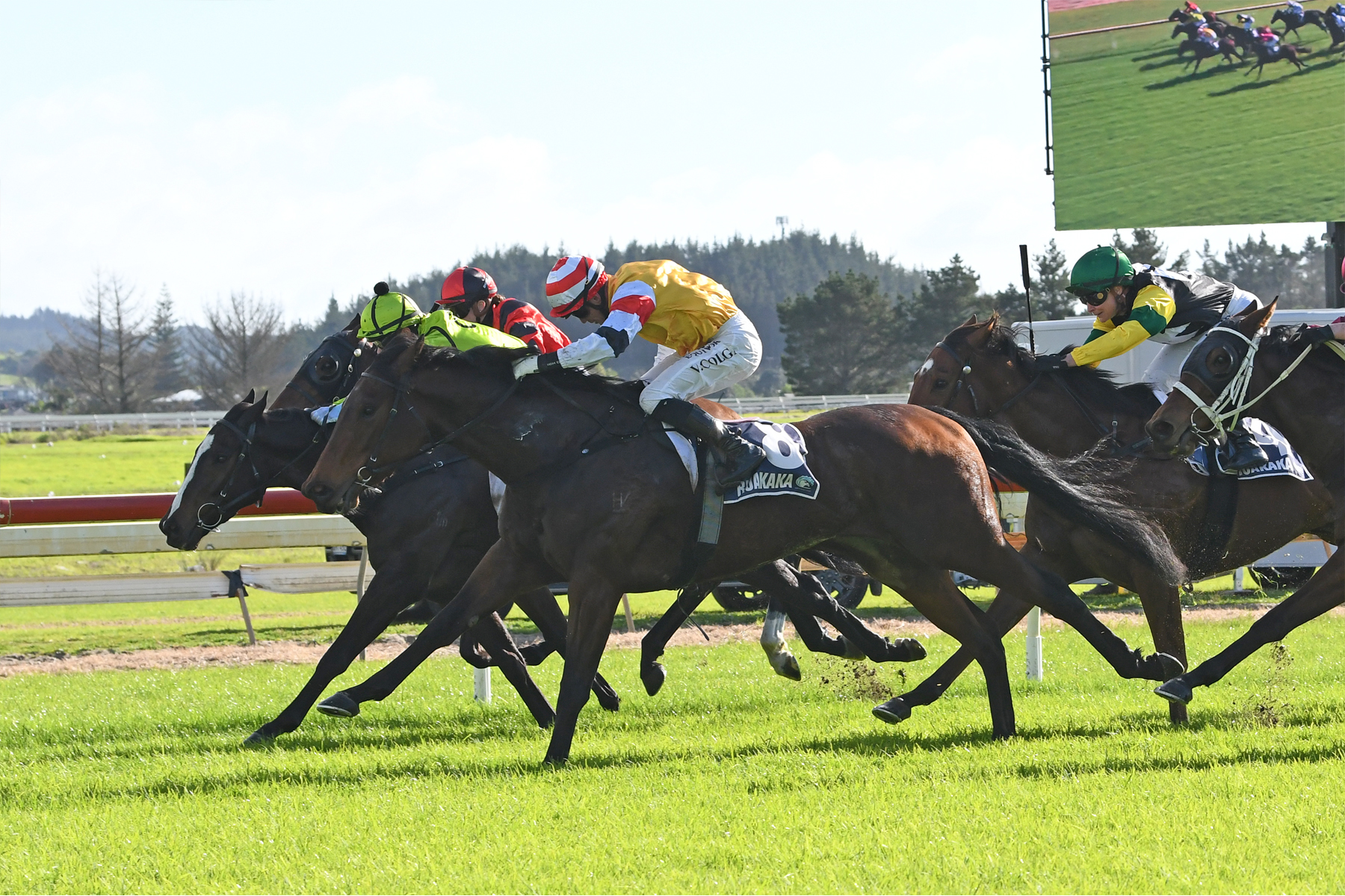 Well-related filly takes flight