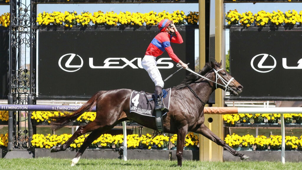 Waller holds gun hand for Melbourne Cup