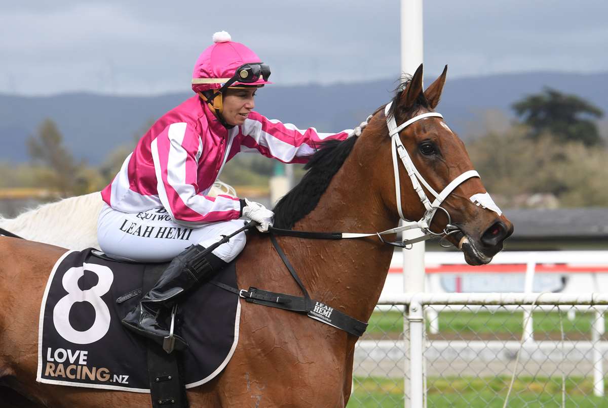 Consistent mare defying broodmare plans