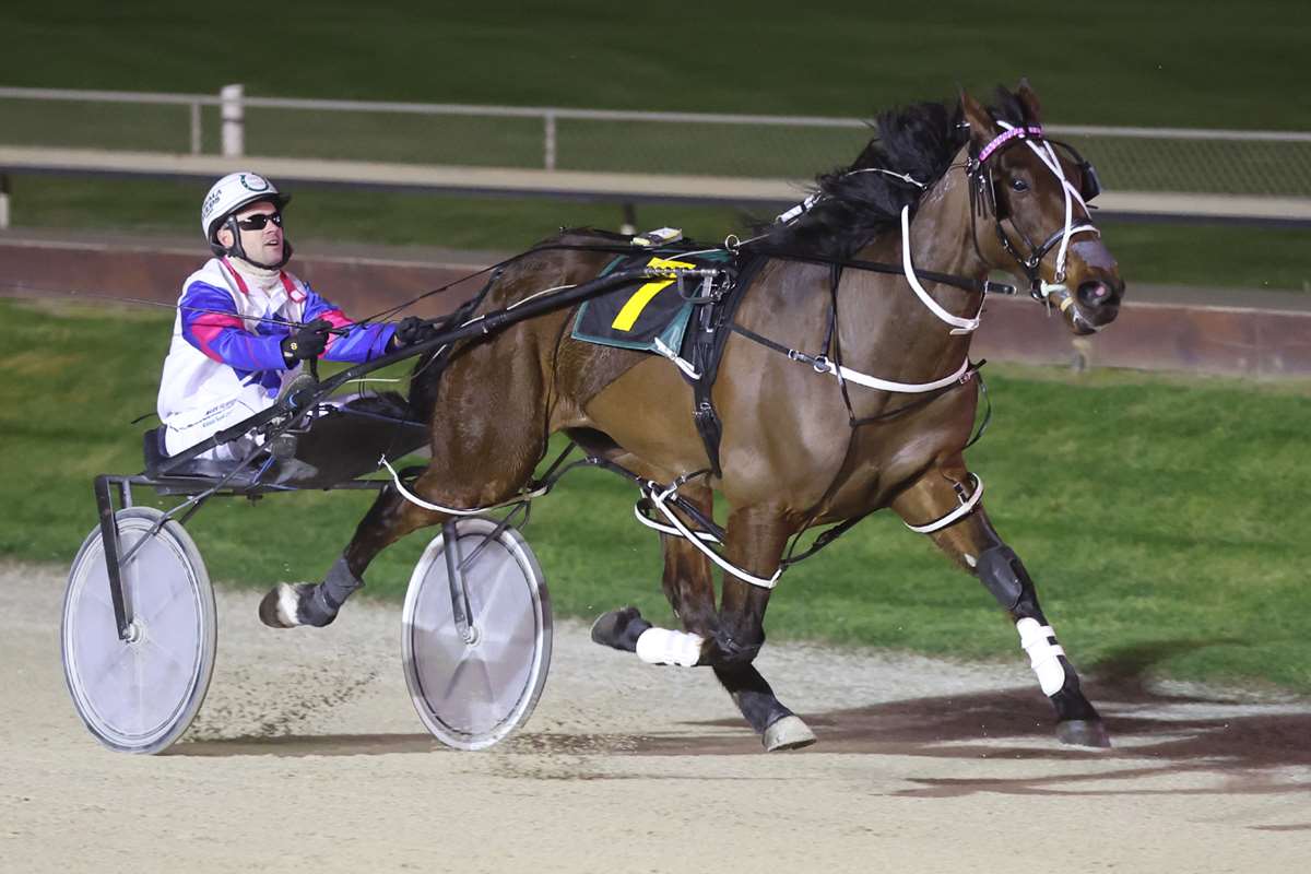 Previewing Omakau's Harness Racing Meeting on January 2nd