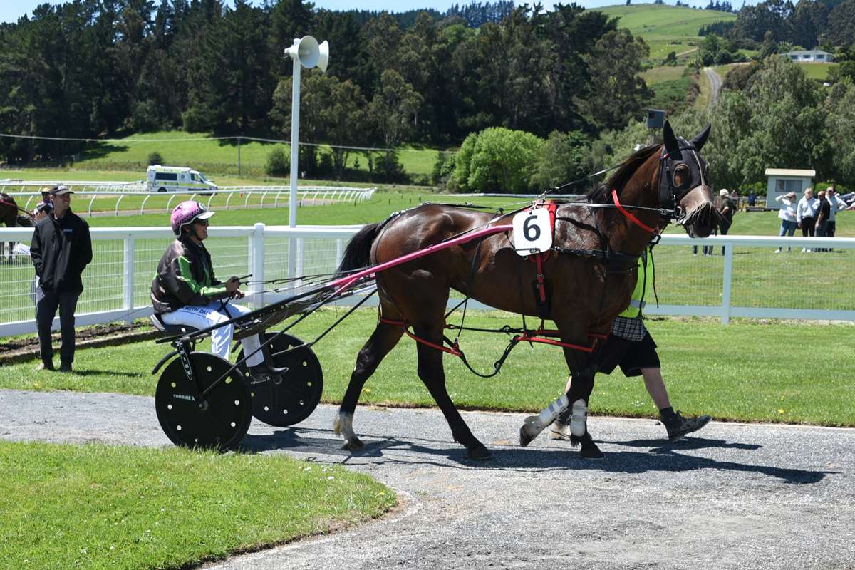 A Winter's Day of Harness Racing at Winton