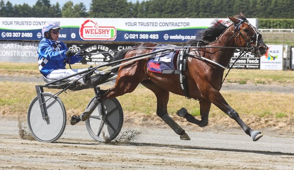 Wrapping up Sunday's Harness 5000 Day from Ashburton