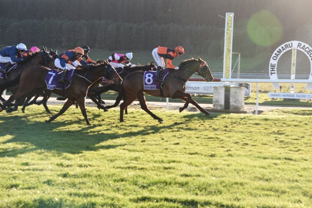 Royal result for Wilsons in Oamaru Cup