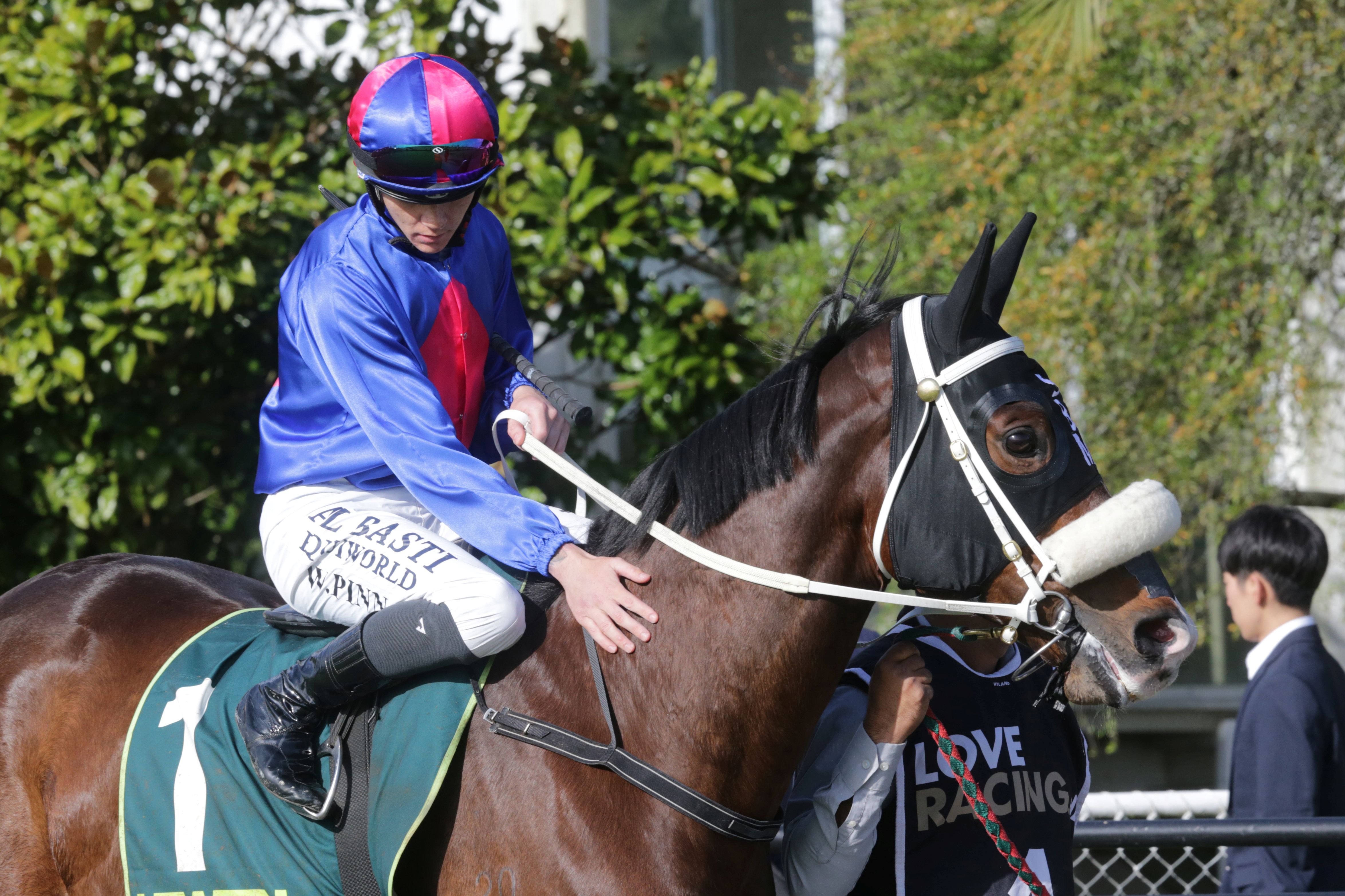El Vencedor in his element with Livamol distance and venue