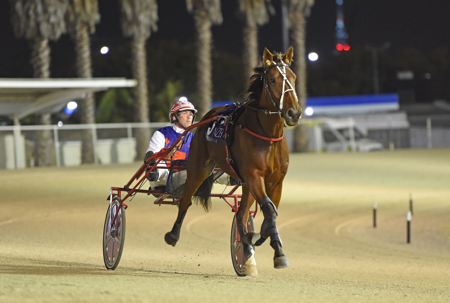 Start is paramount for forgotten trotter