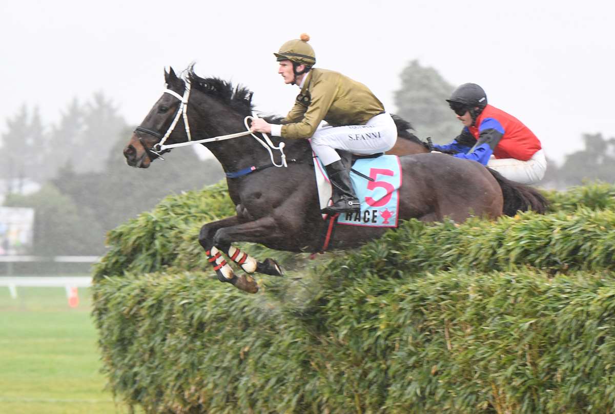 New jumping star duo steal the show at Trentham