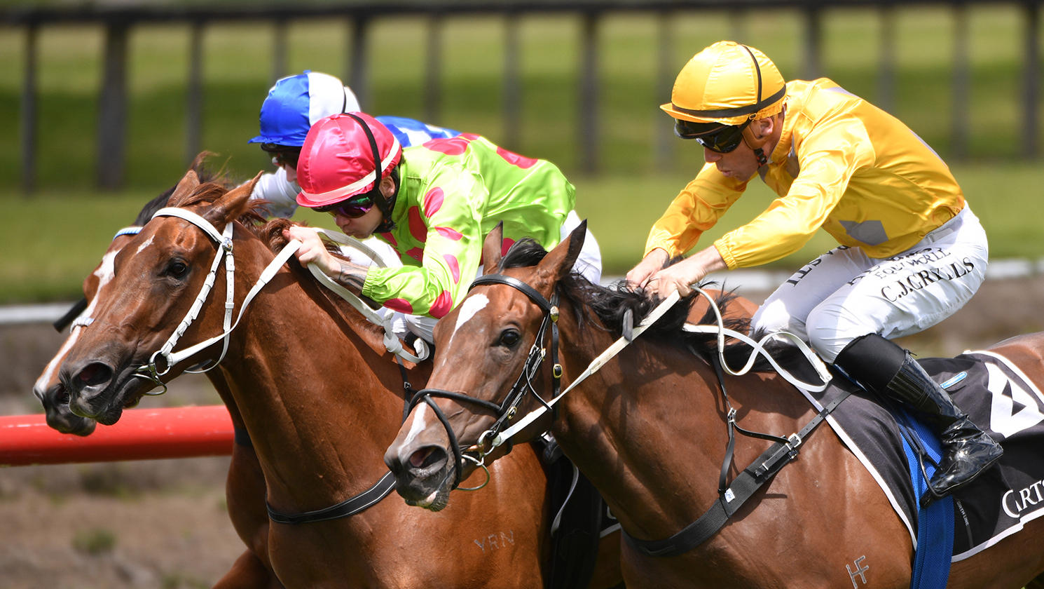 War Princess soars to Tauranga success