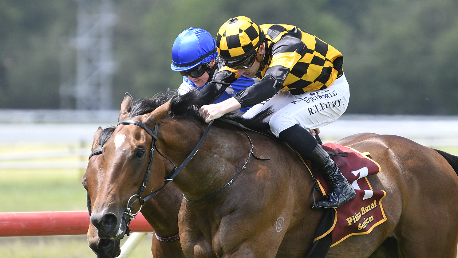 Stud gallopers shining for Ritchie and Murray