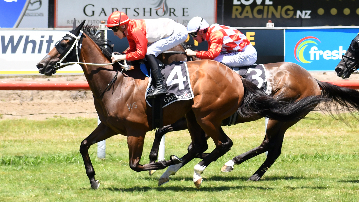 Super Photon bounces back at Tauranga