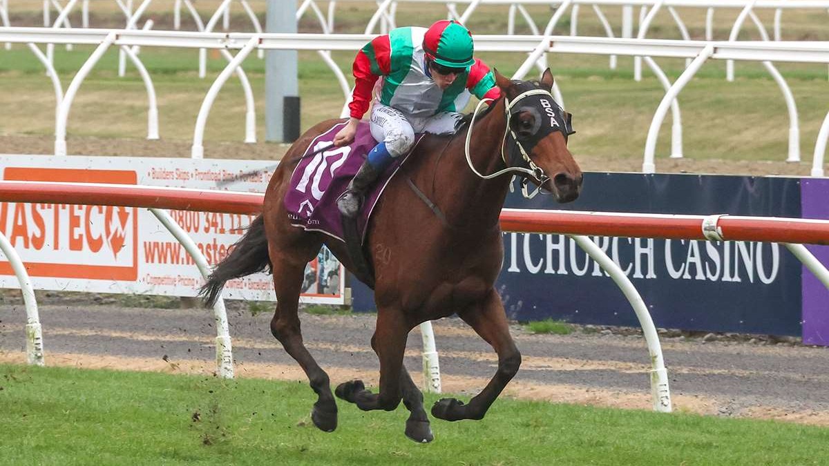 Andertons bringing strength in numbers to Wingatui