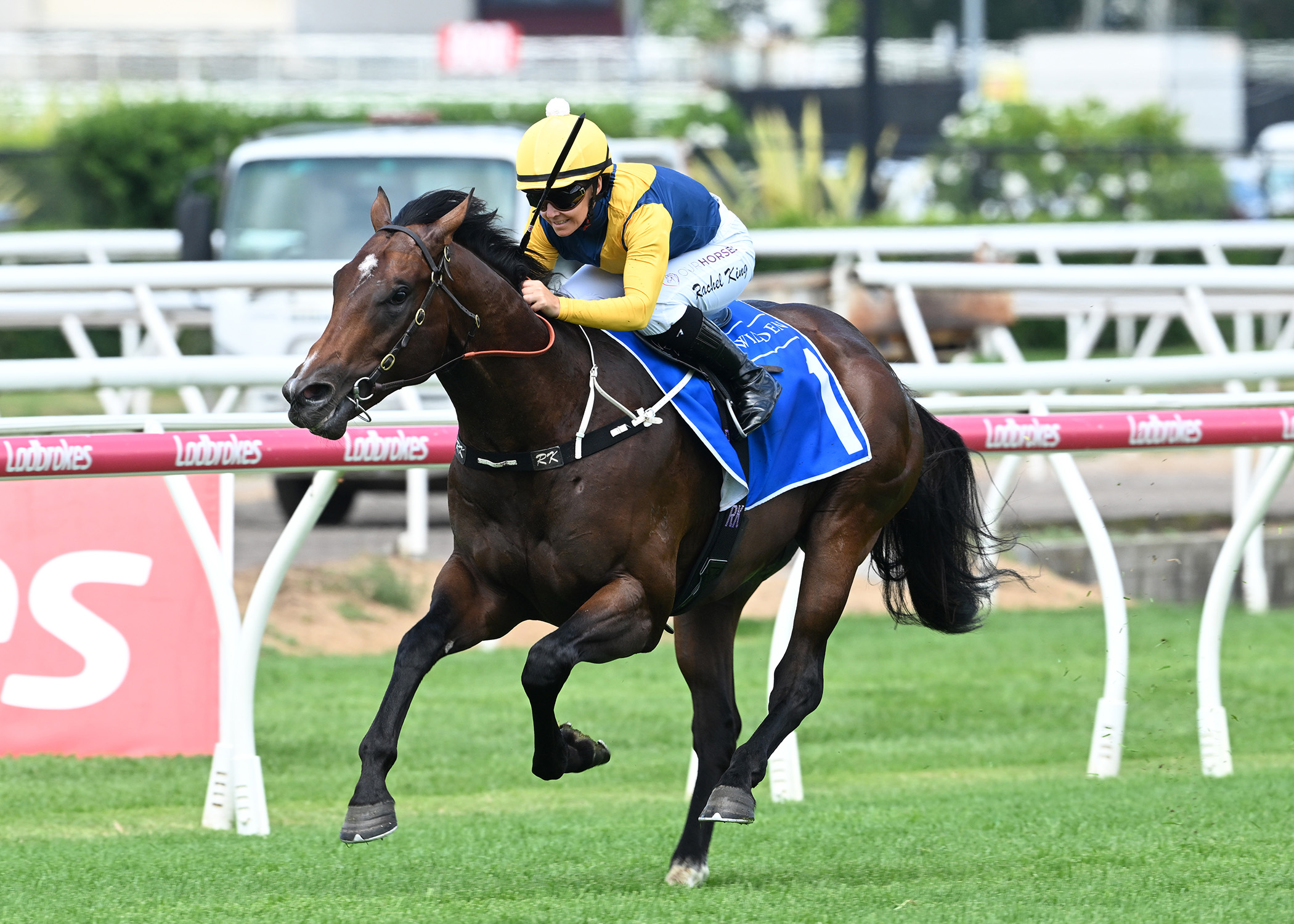 Warwoven dominant at Eagle Farm