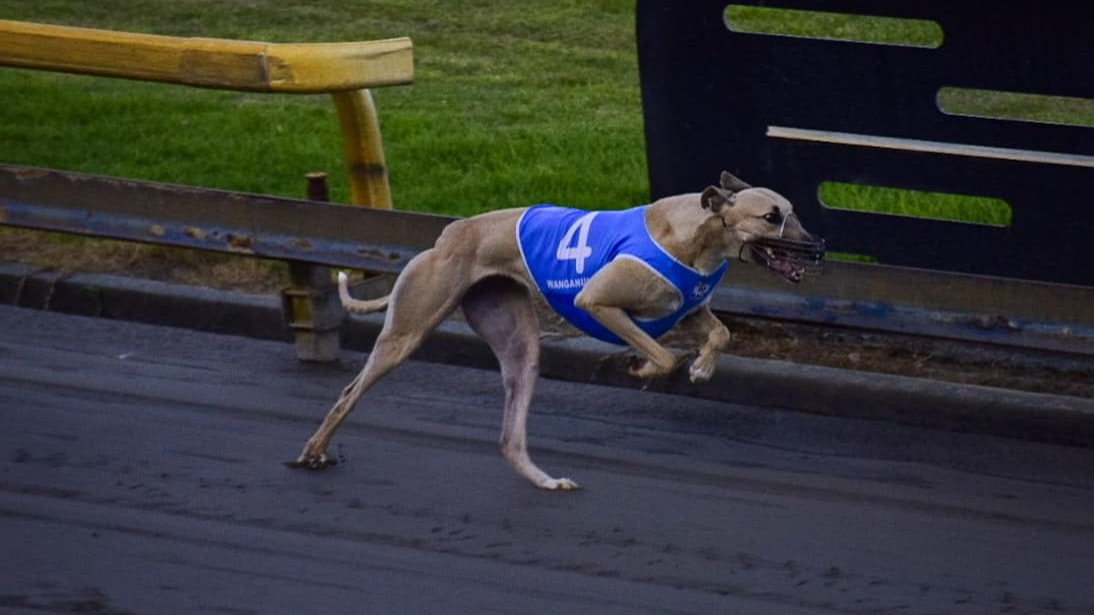 Roso unleashes on the Monday blues from Palmy