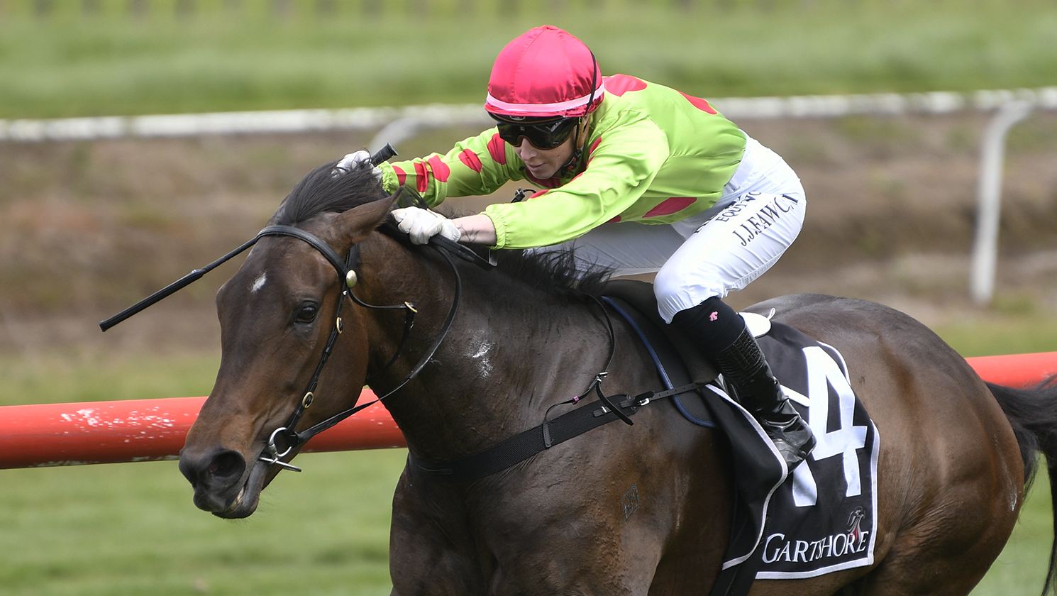Myakkabelle in search of elusive stakes scalp