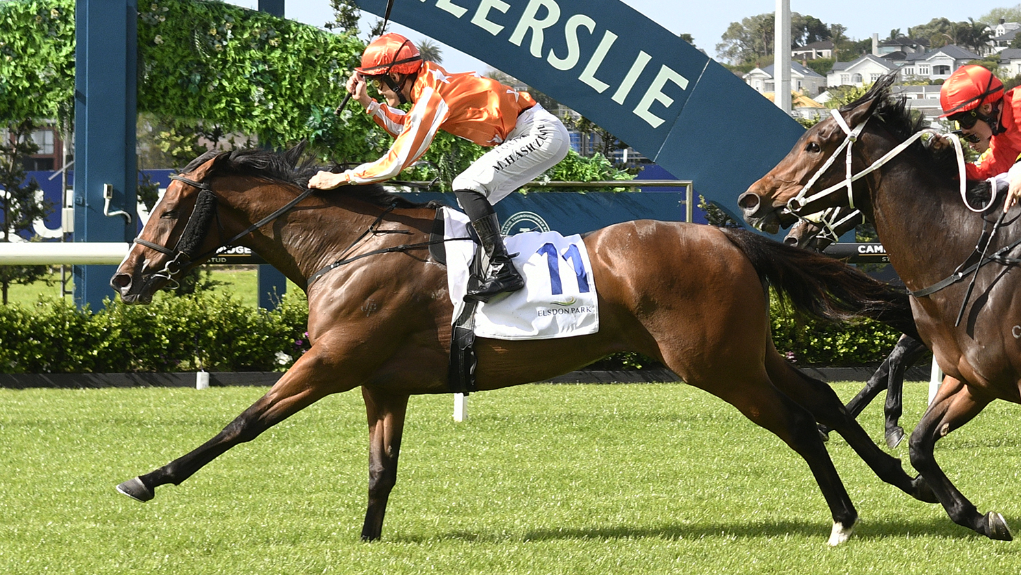 Arabian Songbird upstages Tardelli in Cambridge showdown