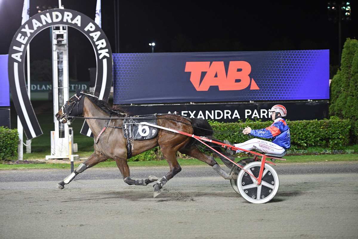 Alexandra Park trotting tip hidden away in TAB markets