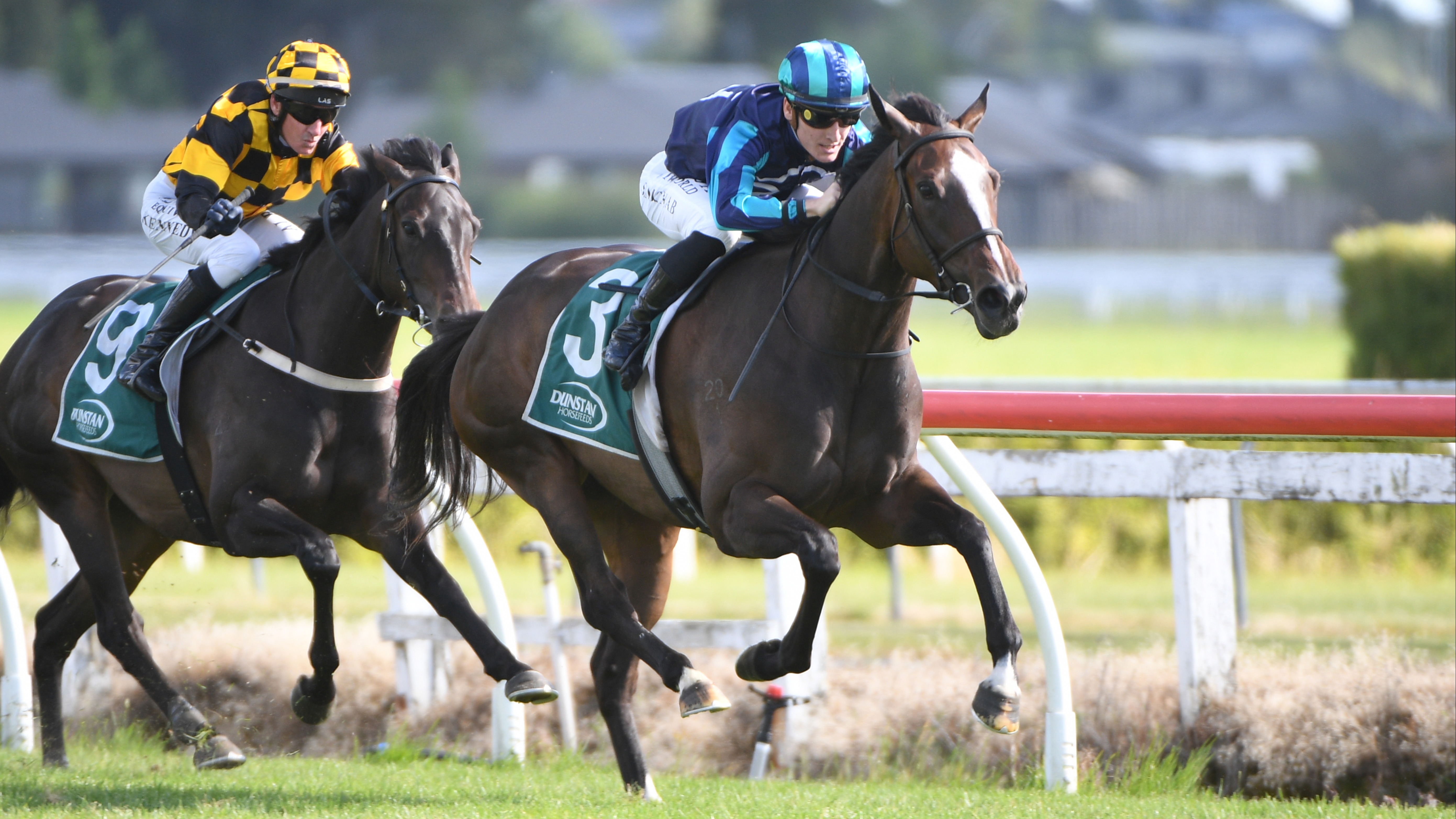 Rich Ellerslie prize beckons emerging mare