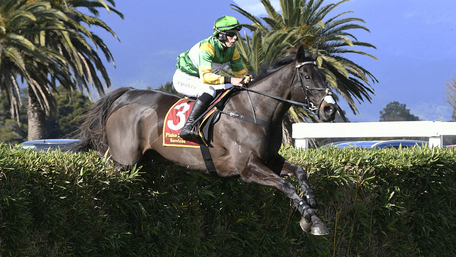 Billy Boy near-flawless in steeple debut