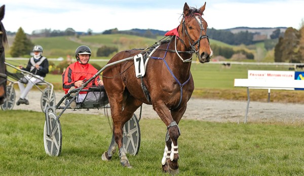 Spirit of Atlanta good chance to break maidens at Rangiora today