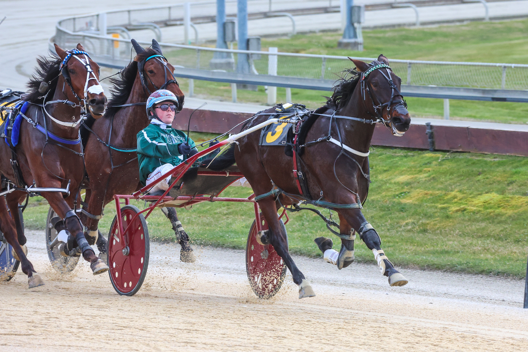 Speedster primed for Group One prize